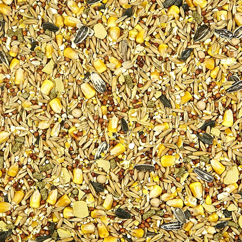 Kaytee Backyard Wildlife Food Blend Wild Squirrels Chipmunks Rabbits 5 Pound