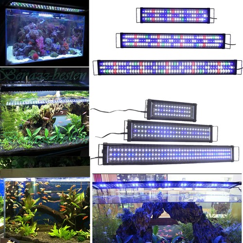 Aquarium Led Beleuchtung Test Vergleich +++ Aquarium Led Beleuchtung