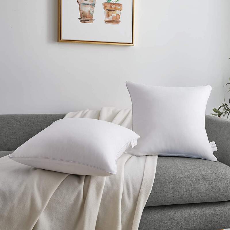 20 x 20 Pillow Inserts (Set of 2) - Throw Pillow Inserts with 100% Cotton Cover