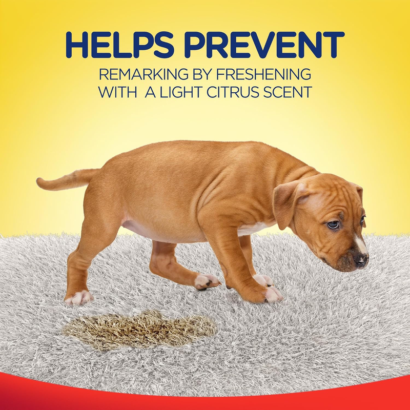 Resolve Urine Destroyer Spray Stain & Odor Remover, Transparent, No Flavor, 32 F