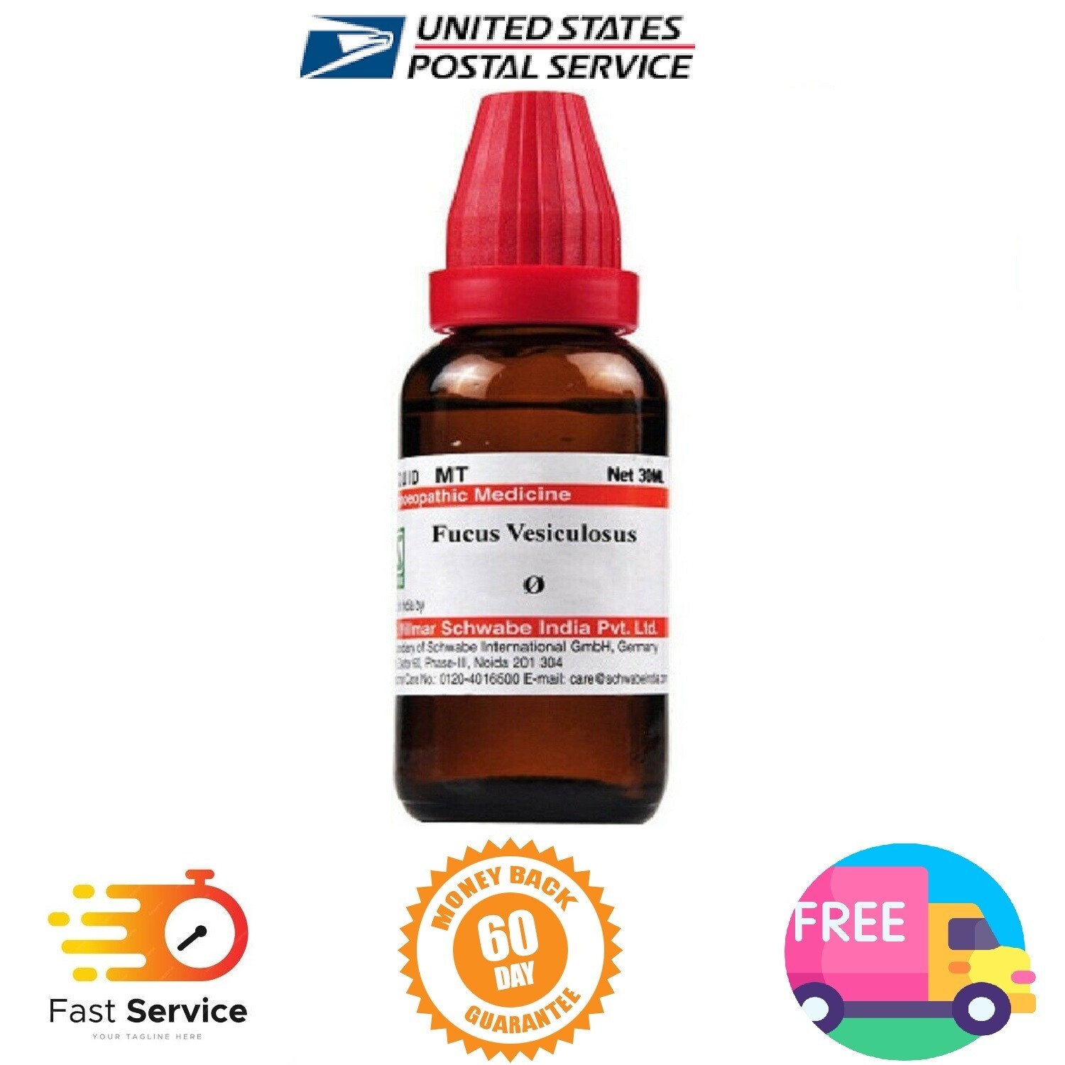 その他 Homeopathy for Todaya??s World gnaphalium-pentarkan-ptk-49-1-