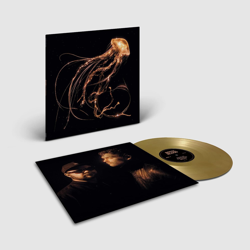 Royal Blood - Back to the Water Below Limited Edition Gold Color Vinyl LP