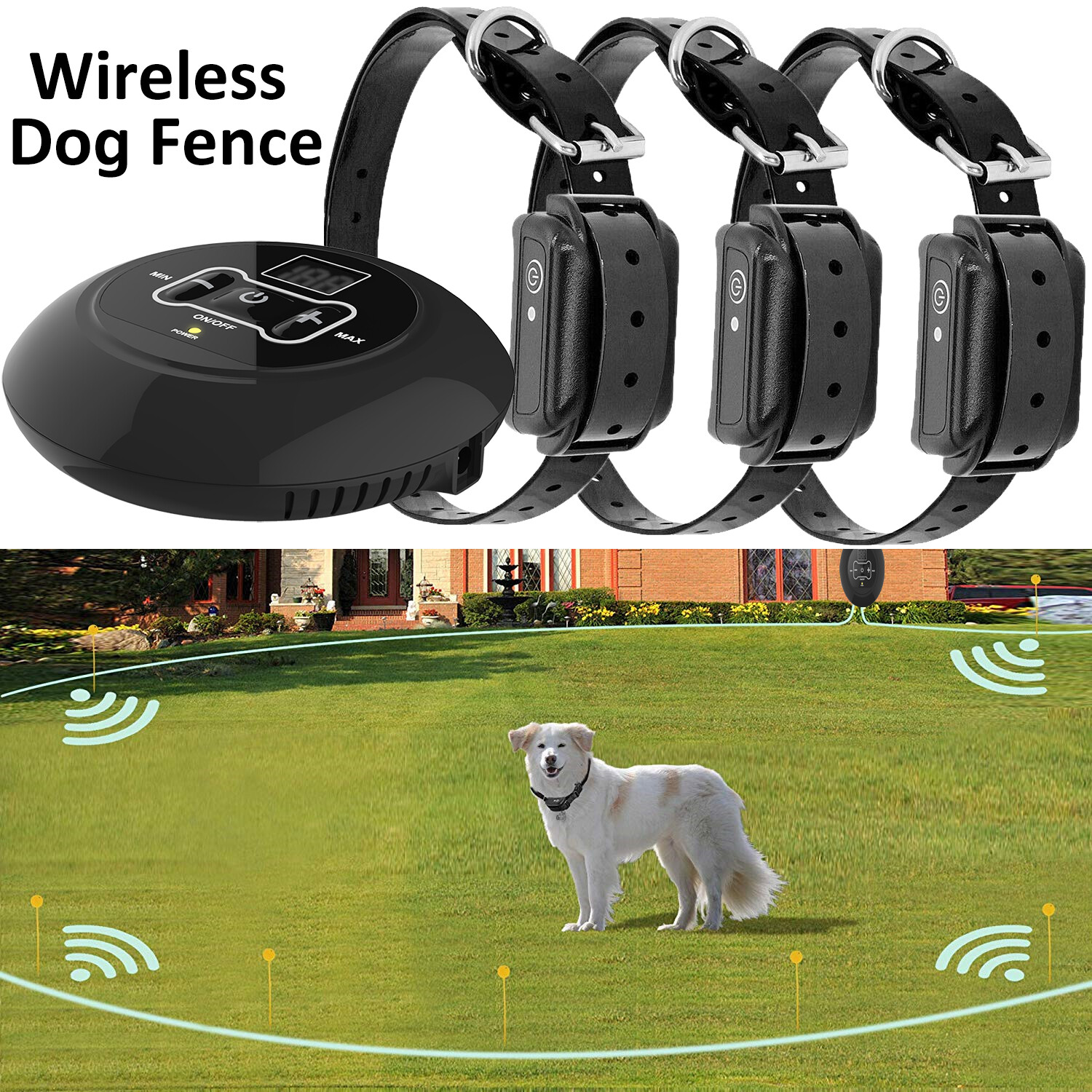 electric perimeter dog fence