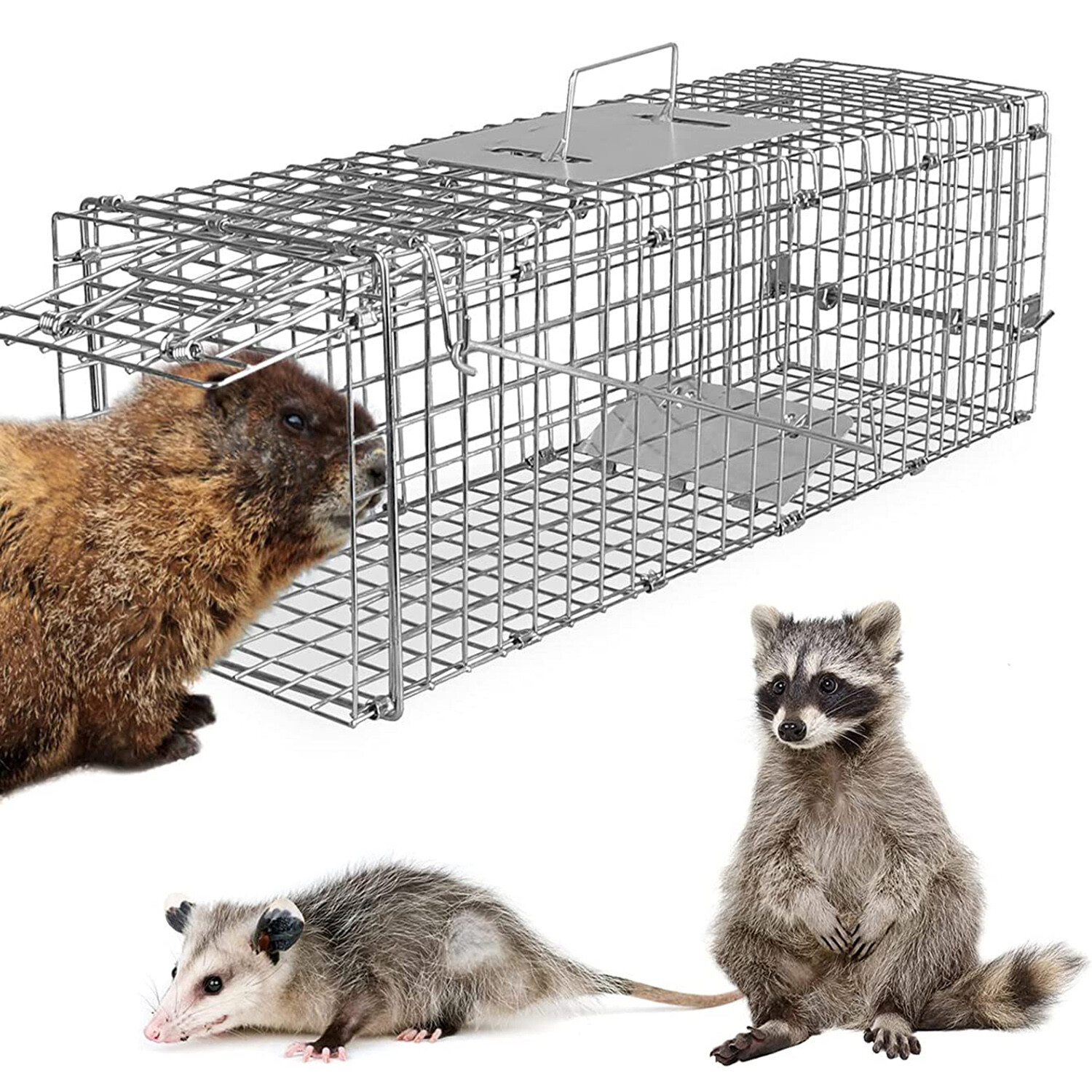 Humane Live Animal Trap Catch & Release Steel Cage for Rat Rabbits Cats Squirrel