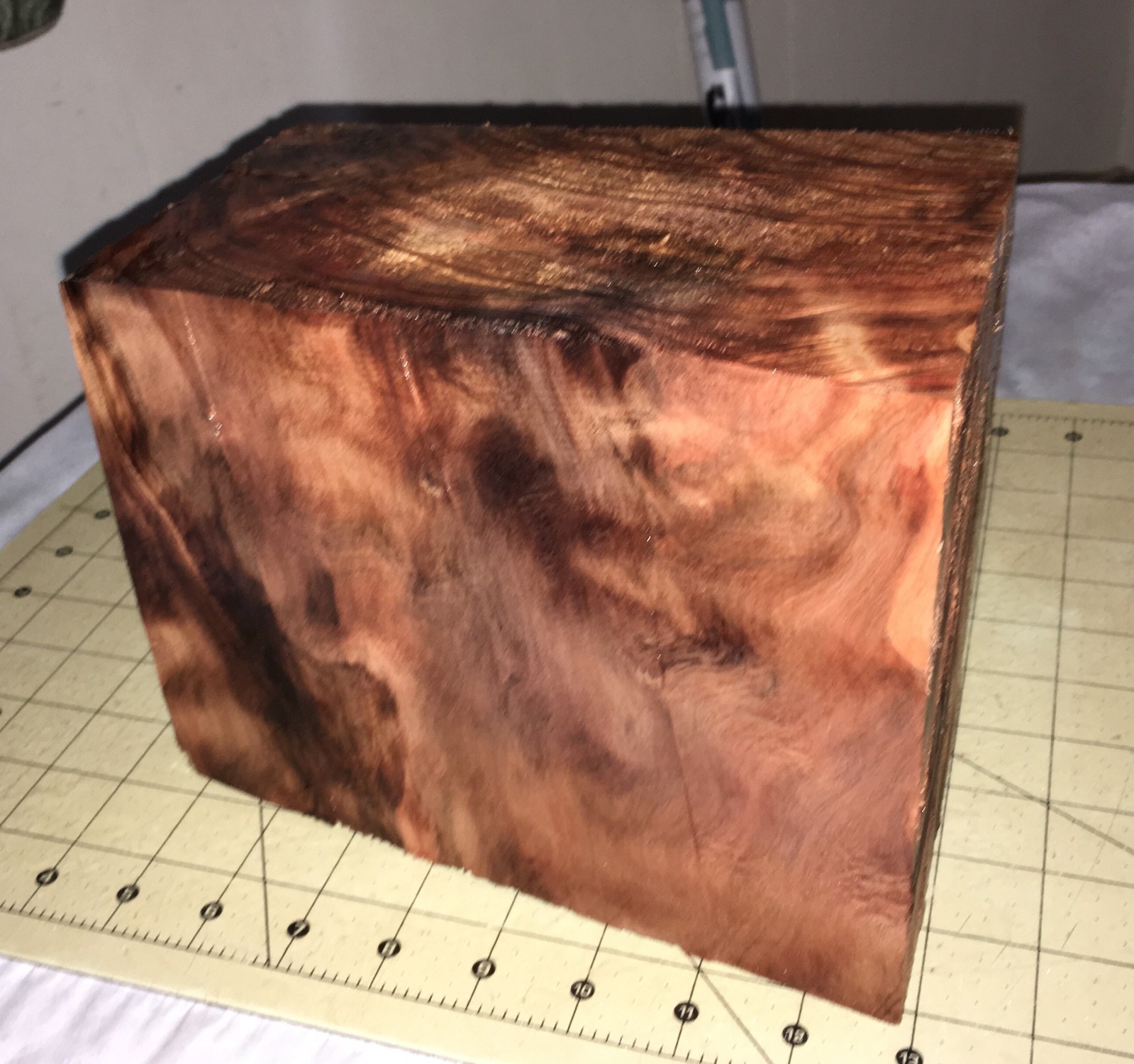 Hawaiian Aromatic CURLY SUGI Pine Japanese Cedar~5 1/4