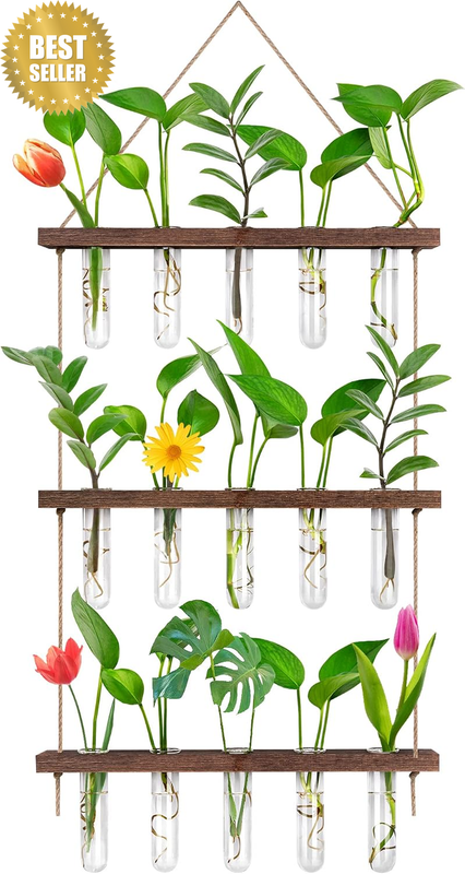 Propagation Station, Wall Hanging Planter Terrarium Retro 3 Tiered Propagation T