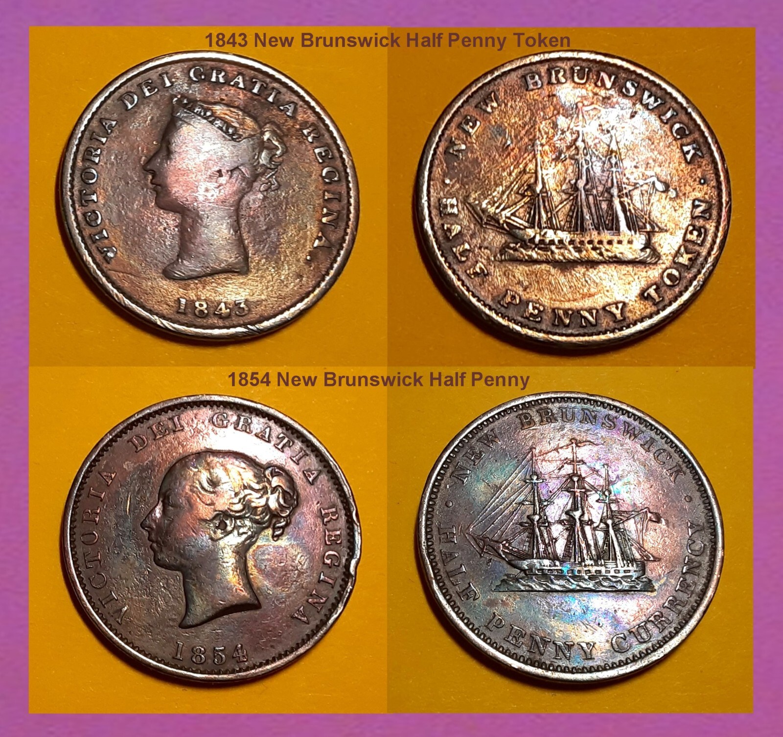 1843 & 1854 New Brunswick (Canada) Colorful Half Pennies