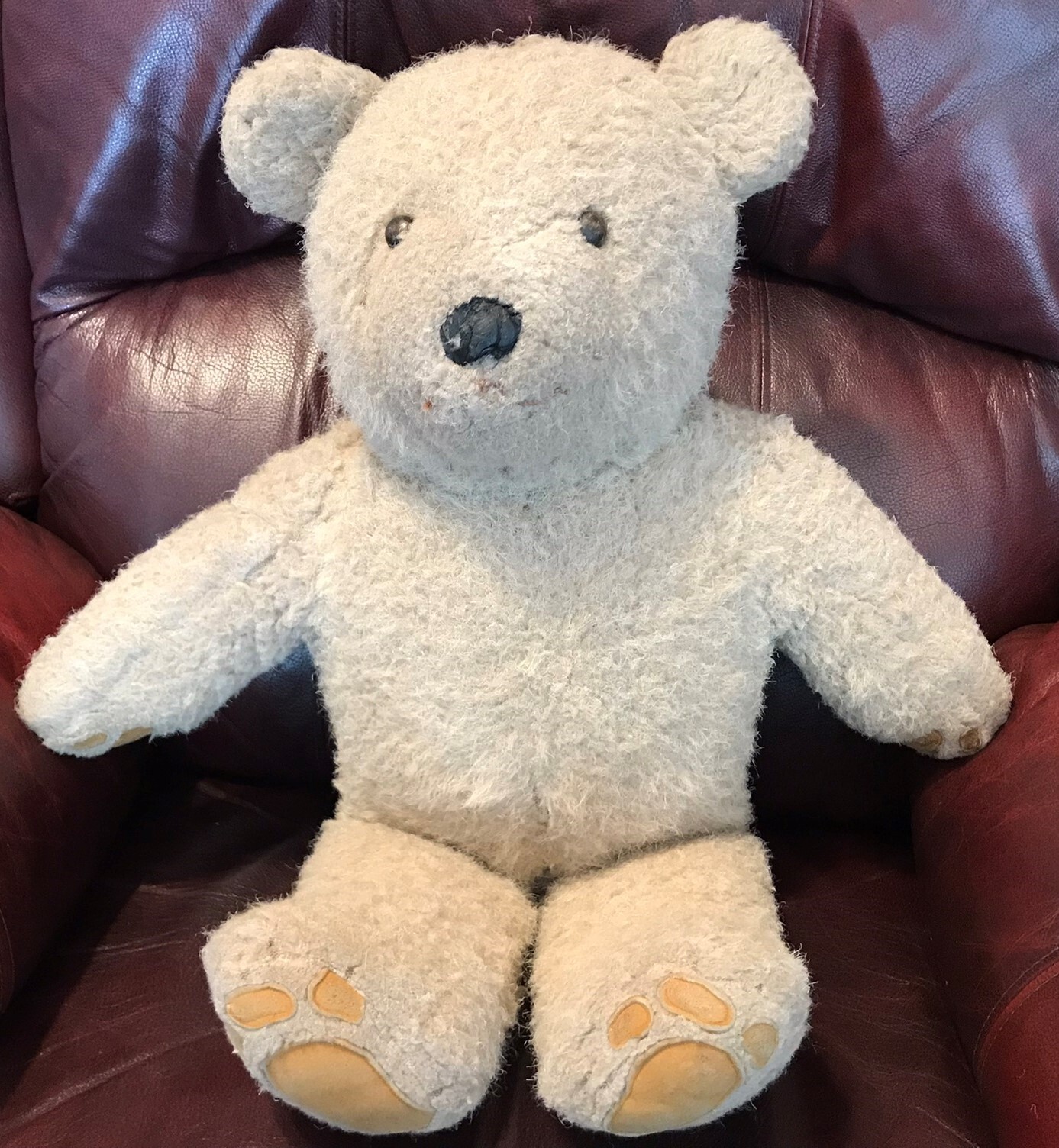 テディベア  Teddy bear tsubaki つばき 2005 テディベア Teddy bear tsubaki つばき 2005 Amazon.co.jp