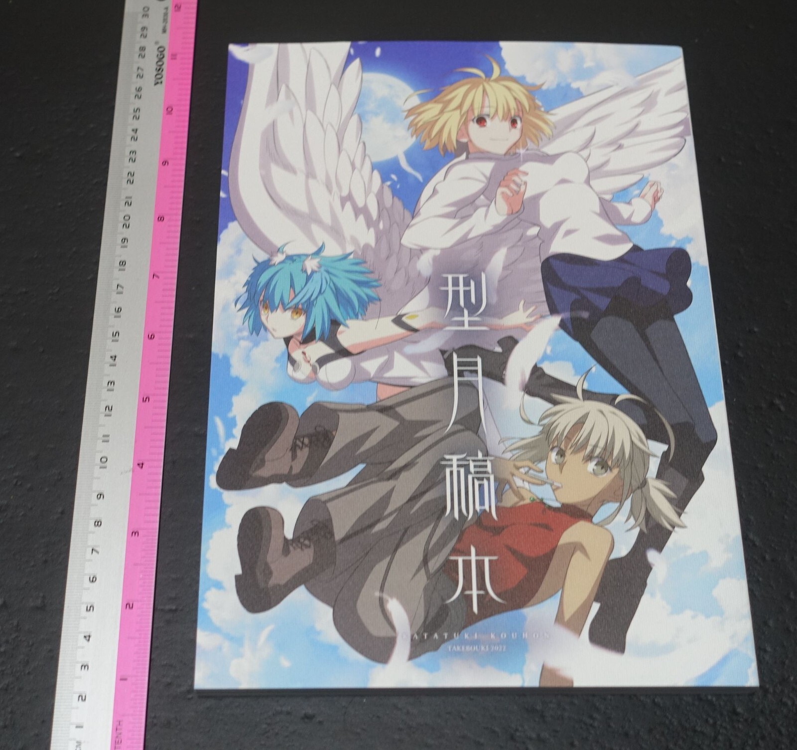 Takehouki TYPE-MOON Works Setting Collection Book Katatsuki