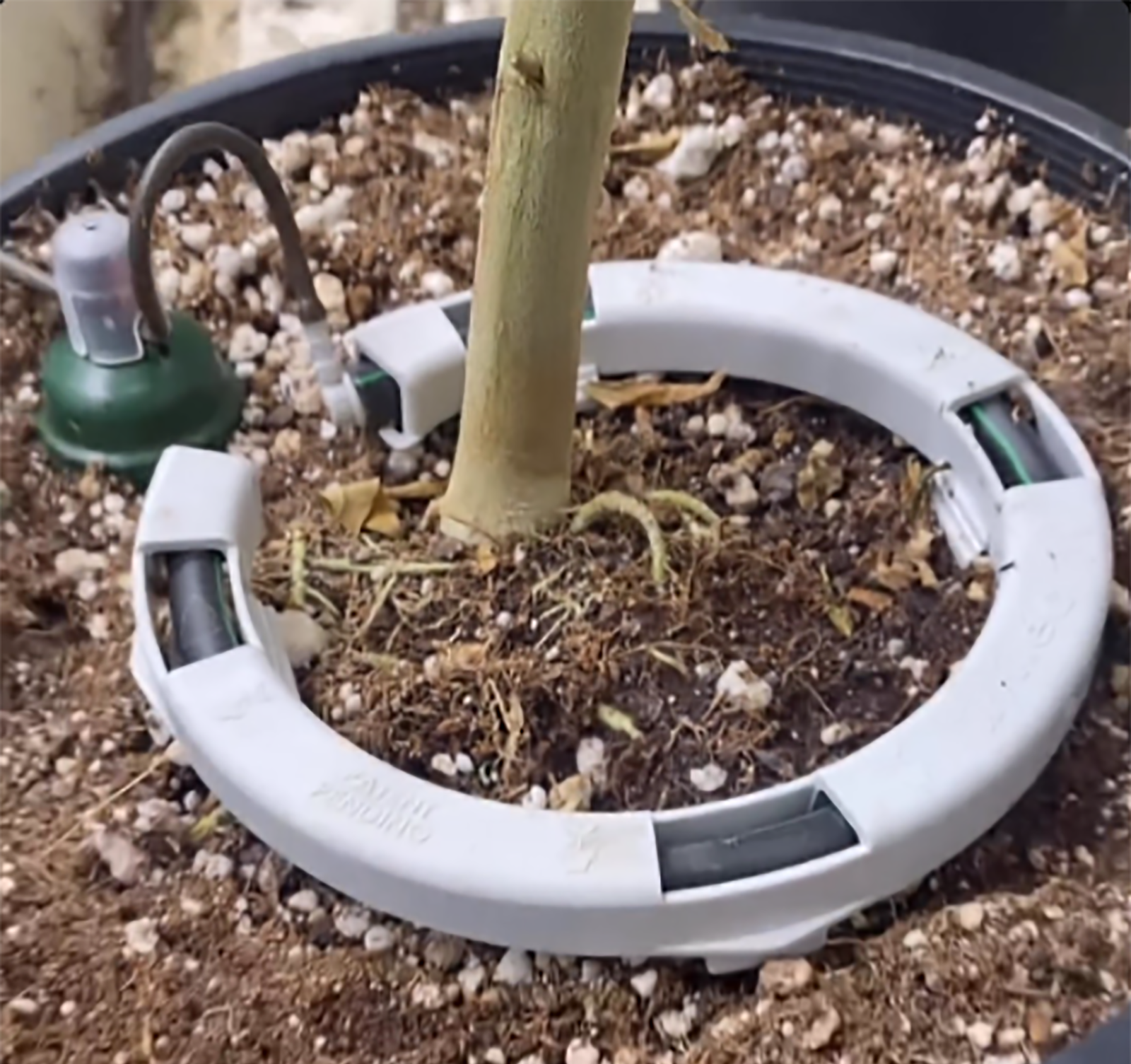 Blumat Drip Rings - Multi-Outlet Drip Ring w/ 4 Drip Outlets & Barb Inlet