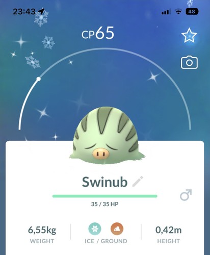2016年 ポケモン Piloswine/Swinub GEM MT 10 2016年 ポケモン Piloswine/Swinub GEM MT 10 Pokemon Card