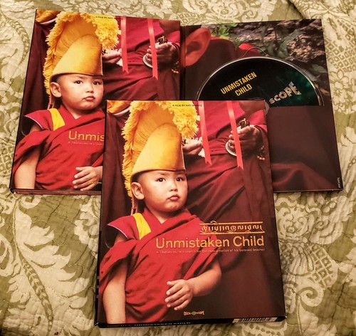 brainchild&#39;s/DVD「documentary na tei de」 MOVIE | brainchild's Official site