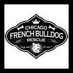 Chicago French Bulldog Rescue