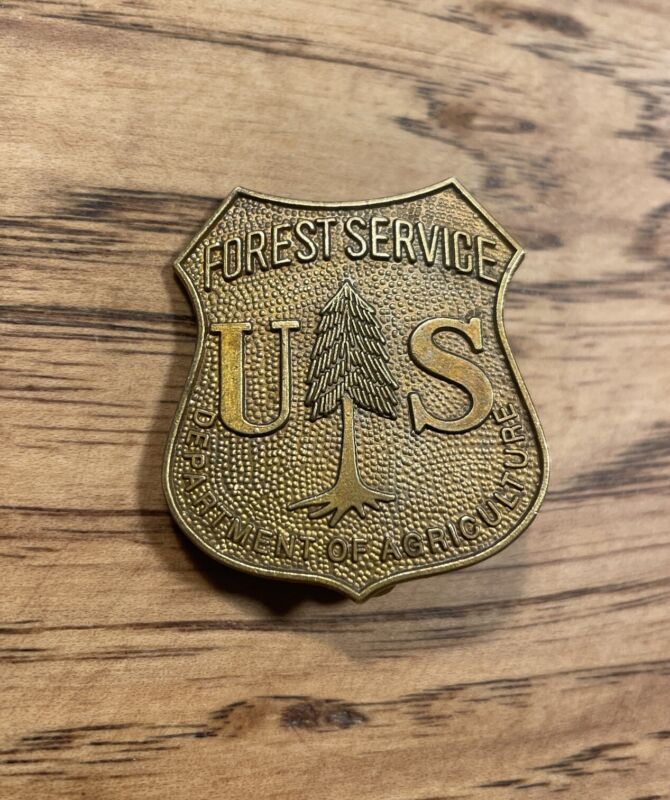 Vintage Old US Forest Service Pin Badge - Department Of Agriculture - Perfect!