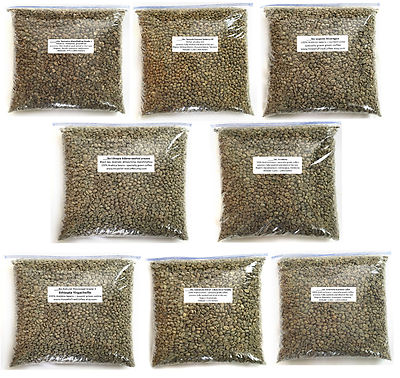 4 lbs Green Coffee Bean Sample Pack - 8 one-half pound coffee samples