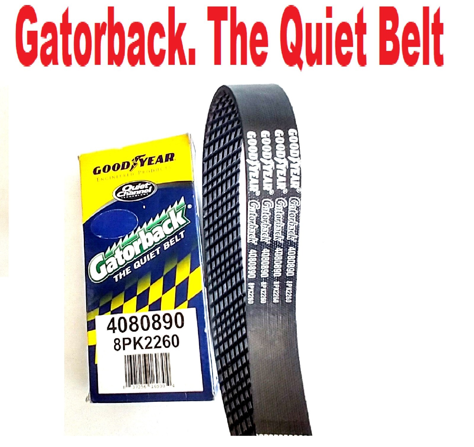 $_57.JPG?set_id=880000500F
