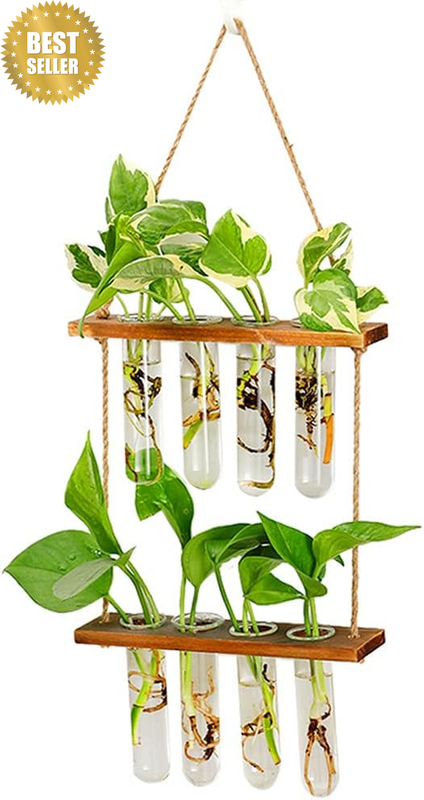 Wall Hanging Planter, 2 Tiered Glass Test Tube Vase with Wooden Stand, Hydroponi