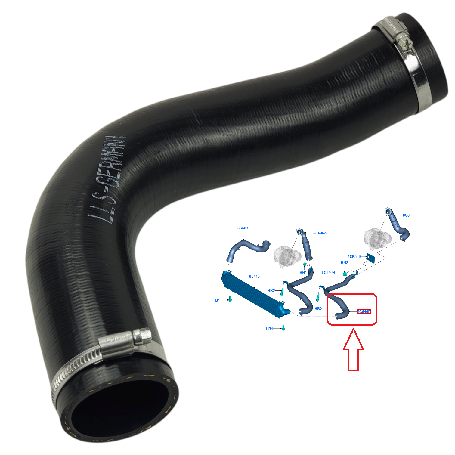 ●TIGHTBOY Eastman 12 Inch Flexible Toilet Connector, 7/8 Inch Ballcock