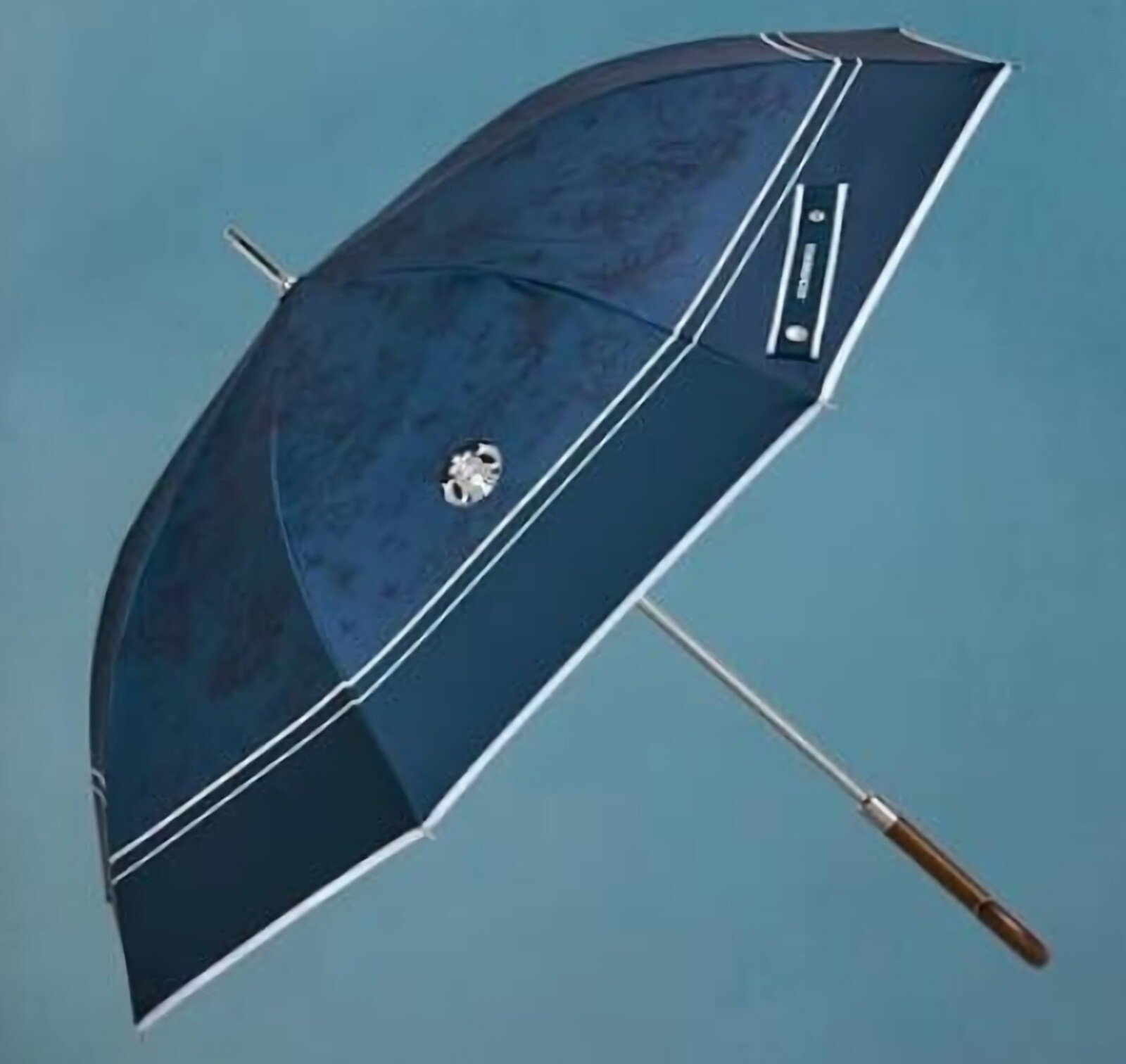 Starbucks Korea] House Long Umbrella [Expedited Shipping] - 小物