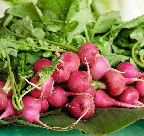Vegetable Radish Crimson Giant 1300x seeds