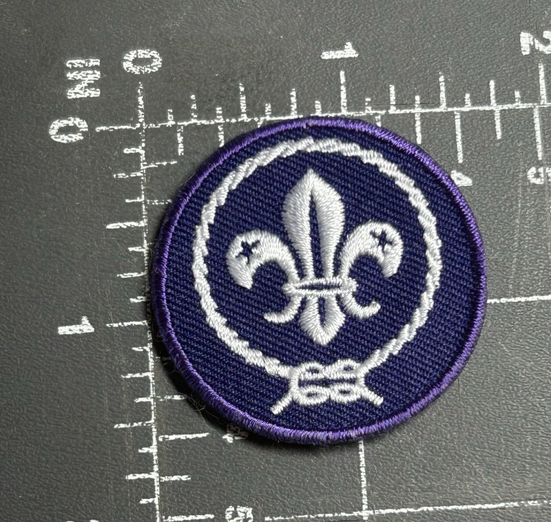 Monde Organisation De Scoutisme Wos Boy Scouts AmÃ©Rique Bsa Crest EmblÃ¨Me Patch