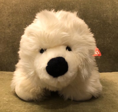 snuttig polar bear