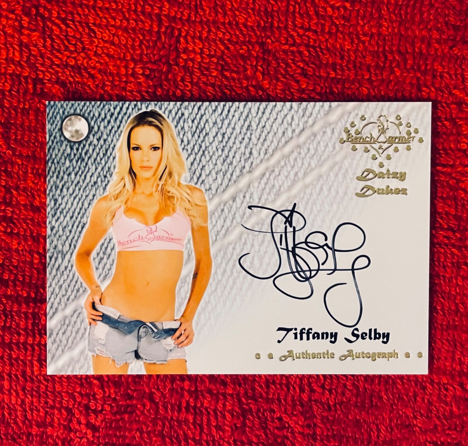 Tiffany Selby 2015 Daizy Dukez Autograph Benchwarmer Card! Playboy