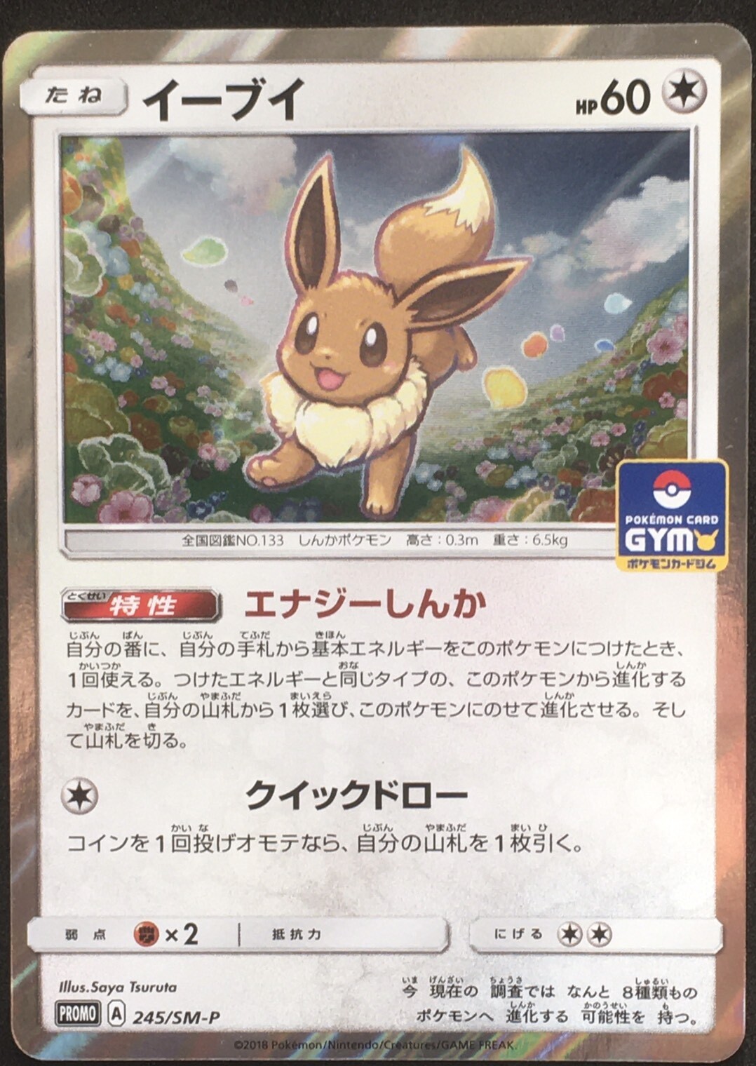★PSA10★【イーブイ/ジム/GYM/プロモ】EEVEE 245/SM-P Pokemon Japanese Gym GX Start Battle Promo - Eevee 245/SM-P