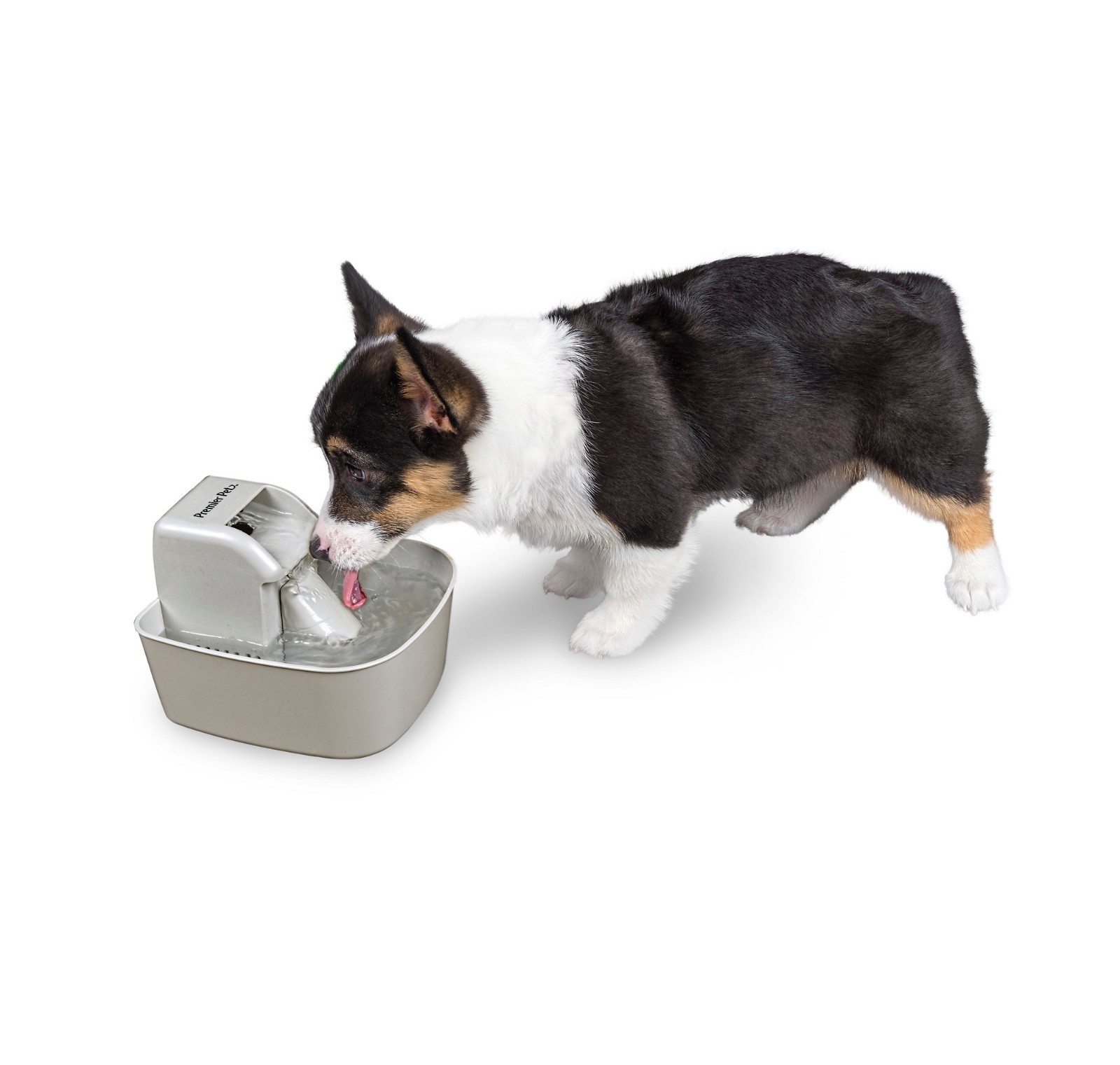 Premier Pet Fountain 50 Oz Capacity