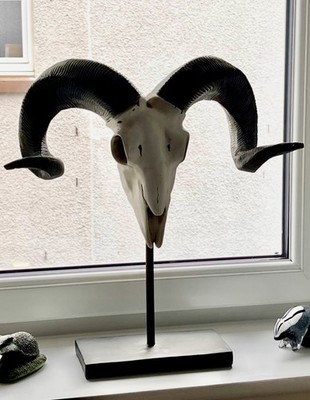 Foto dell'oggetto di un acquirente verificato