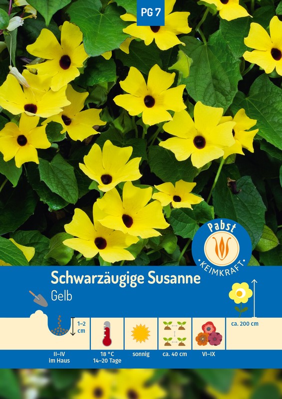 SchwarzÃ¤Ugige Susanne Gelb 173560 EinjÃ¤Hrige Blumen 