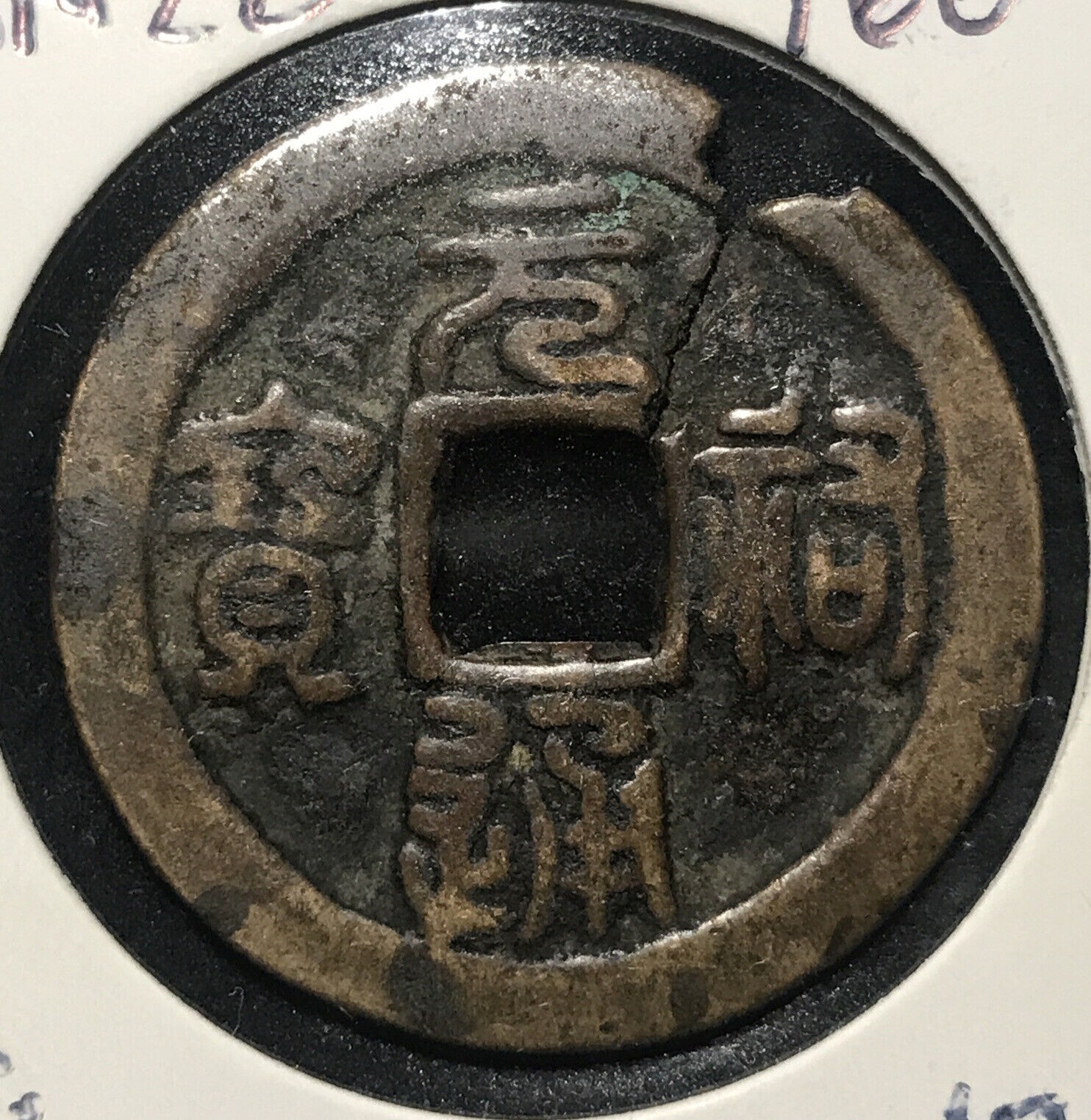 標本 China Yunnan Cetoniinae s.p 23mm ウクライナ産 Oiceoptoma thoracicum 1ex 16mm | 昆虫標本