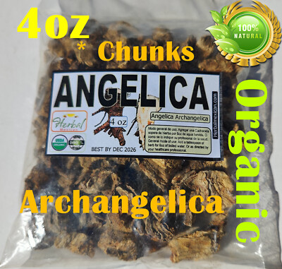 Angelica Root, raiz Angelica archangelica L Angelica sylvestris wild celery root