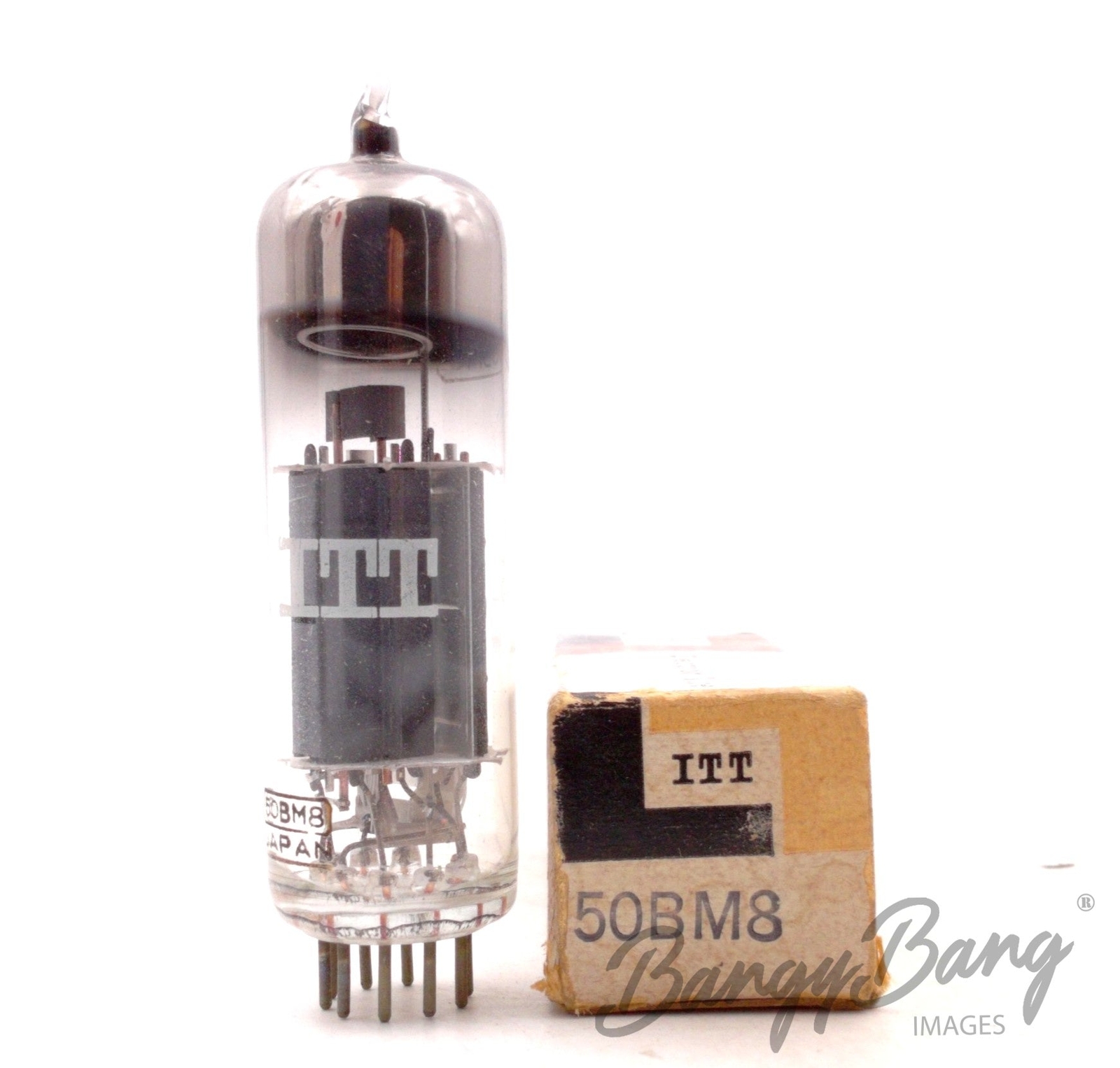 【中古品】TUBE/TUBE LIVE AROUND SPECIAL 2024 $_10.JPG?set_id=2