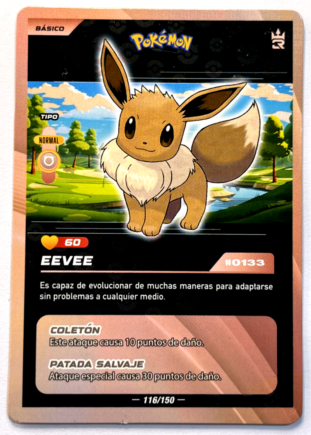 Eevee イーブイ　海外版　英語版　1st EDITION 5枚セット 800px-EeveeEvolvingSkies125.jpg