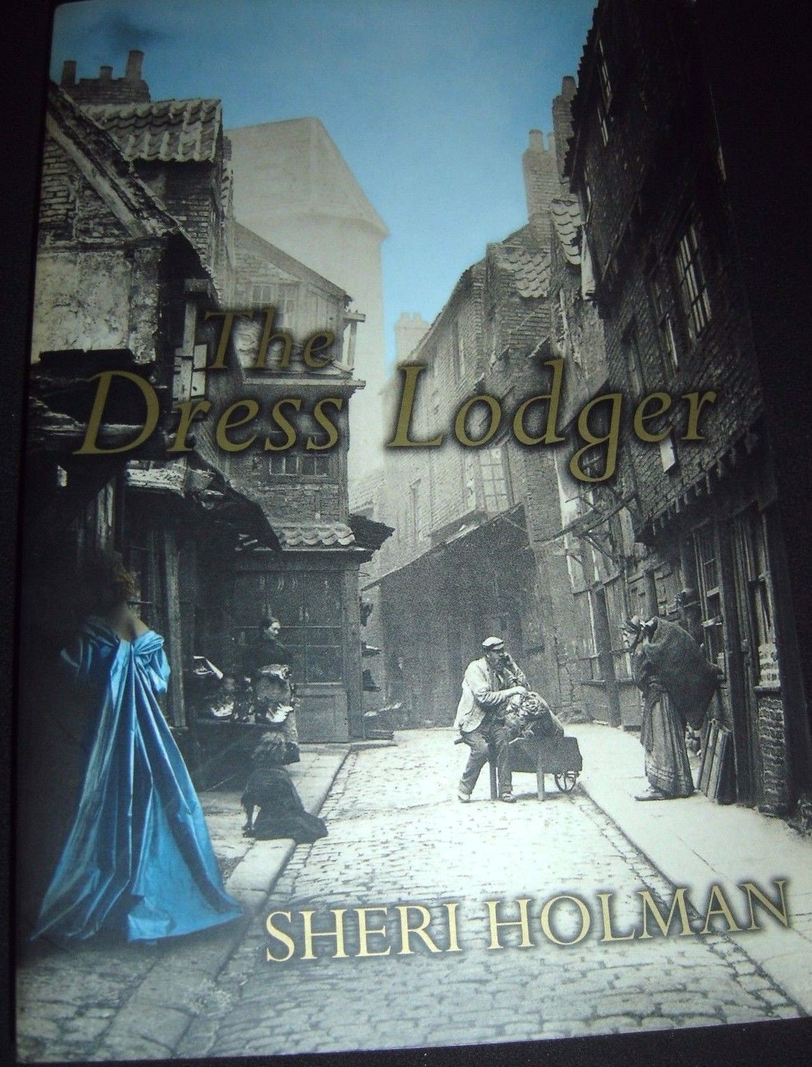 The dress lodger by sheri holman essay 06 picture
