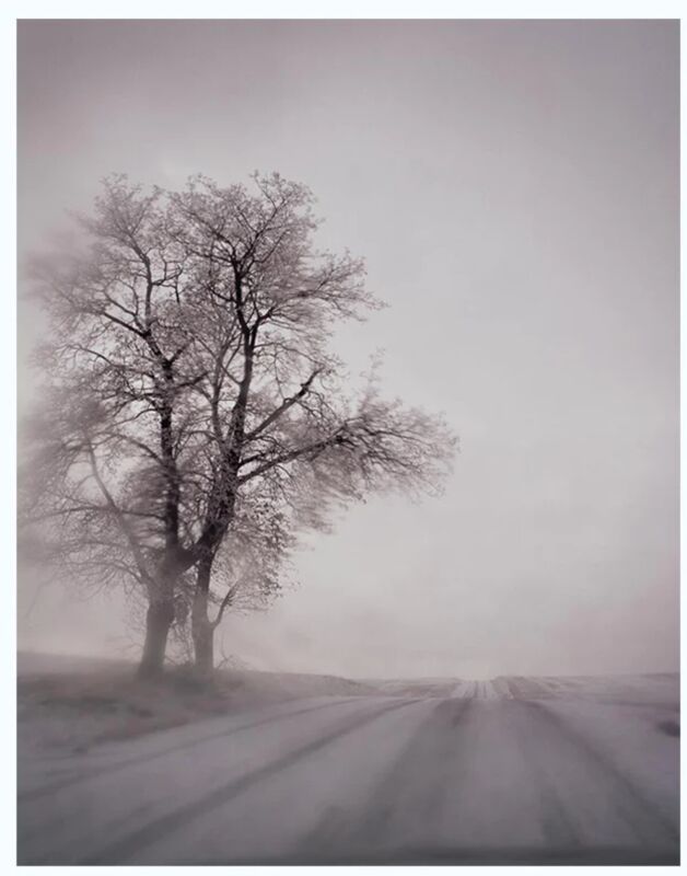 Todd Hido 