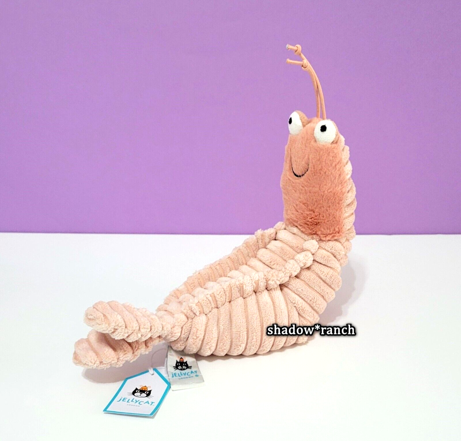 ジェリーキャット Sheldon Shrimp（海老）ぬいぐるみ $_57.PNG?set_id=880000500F
