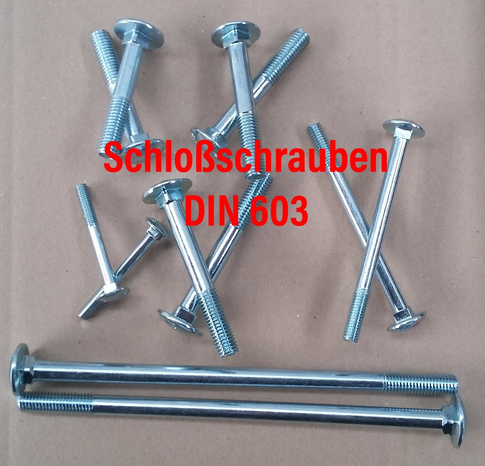 Schlossschrauben Flachrundkopfschrauben mit Muttern M6 DIN 603 Schraube 10 Stück