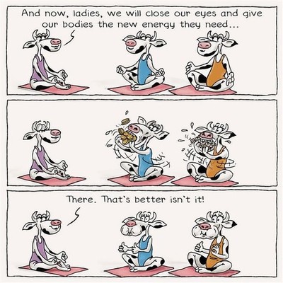 Funny Yoga New Energy Happy Birthday Card Humour Joke Open Female FREE P&P