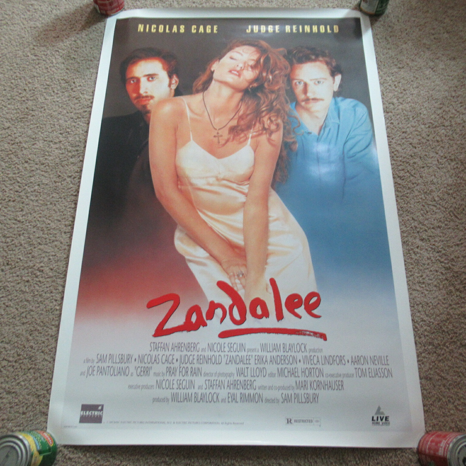 Vintage 90s Zandalee Video Movie Poster Nicolas Cage Erika Anderson のebay公認海外通販 セカイモン