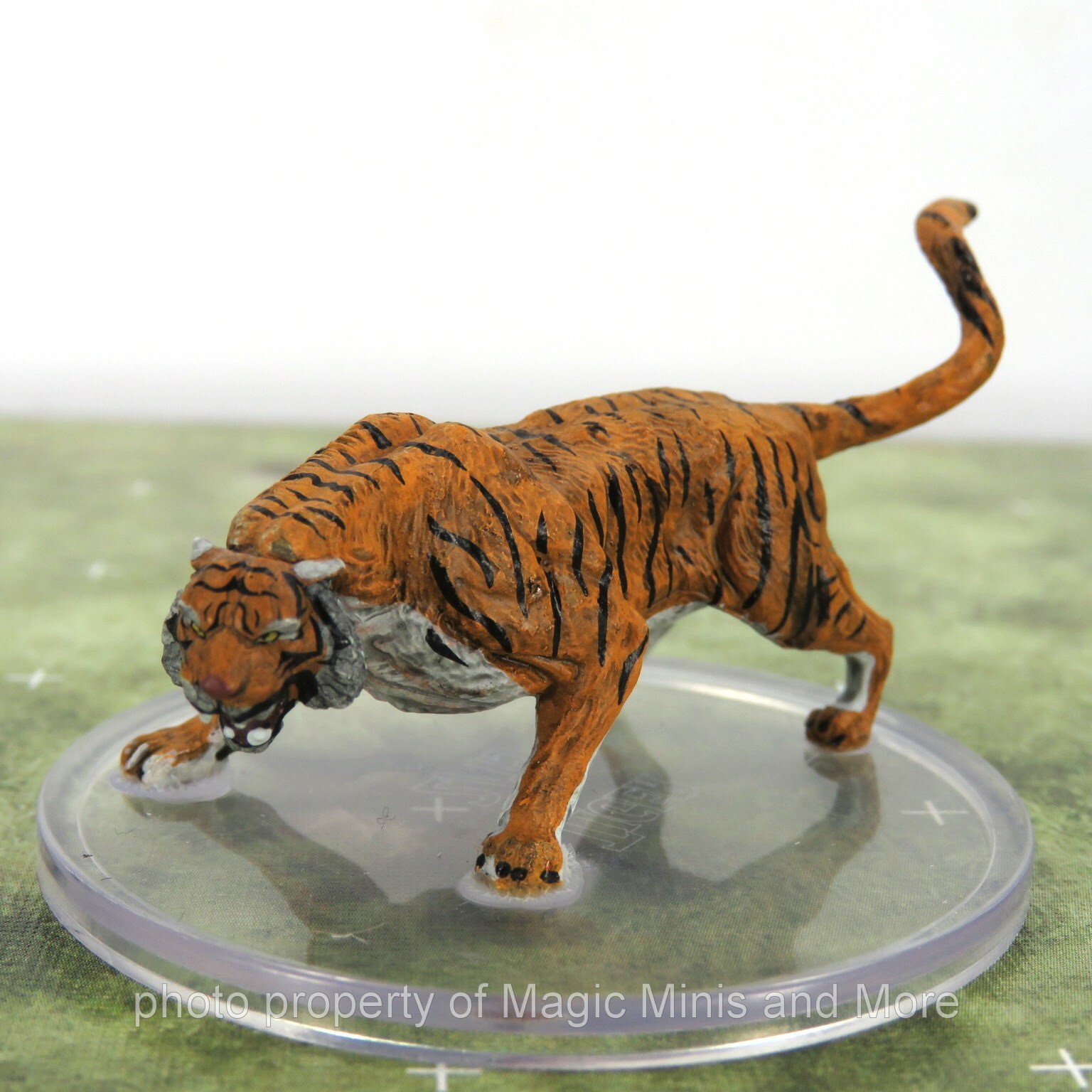 Wild Shape Polymorph ~ TIGER #2 Icons D&D Spell Effects miniature 