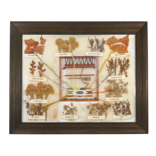 Vintage Navajo Wool Dye Chart Framed w/ Weaving Loom Dried Plants 