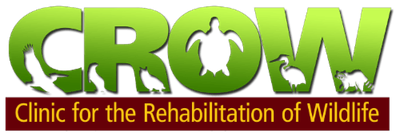 Clinic for the Rehabilitation of Wildlife, Inc.