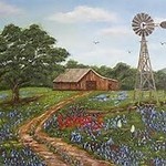 texas-land