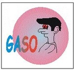 gaso33