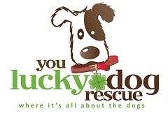 You Lucky Dog Rescue