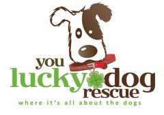 You Lucky Dog Rescue