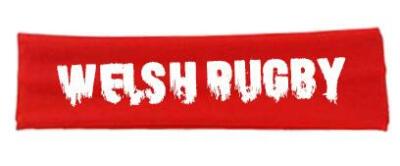 Rugby Nations Headband England Wales Japan Ireland Scotland Fancy Dress