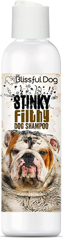 The Blissful Dog Stinky Filthy Dog Shampoo, 16-Ounce